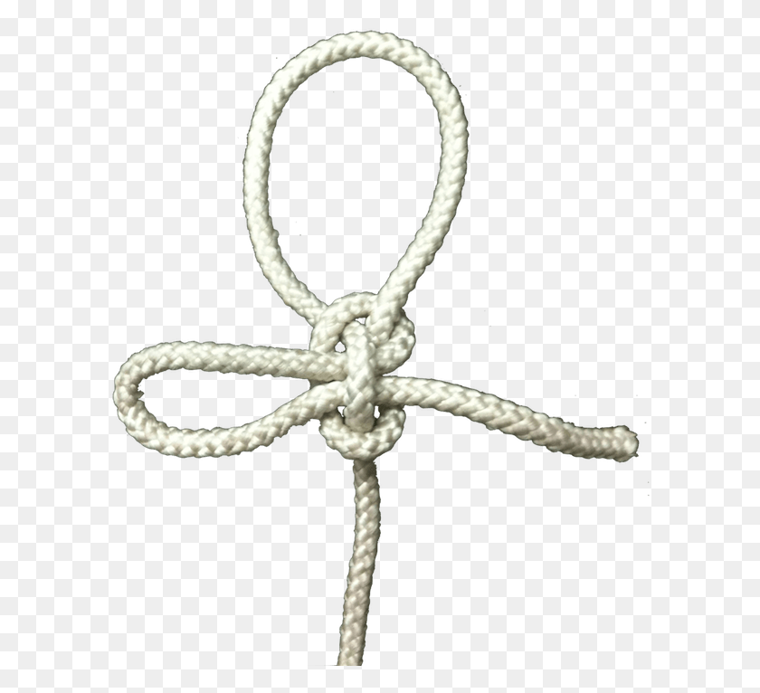 598x706 The Bowline Is Referred To As The King Of The Knots Cross, Knot, Spider, Invertebrate HD PNG Download