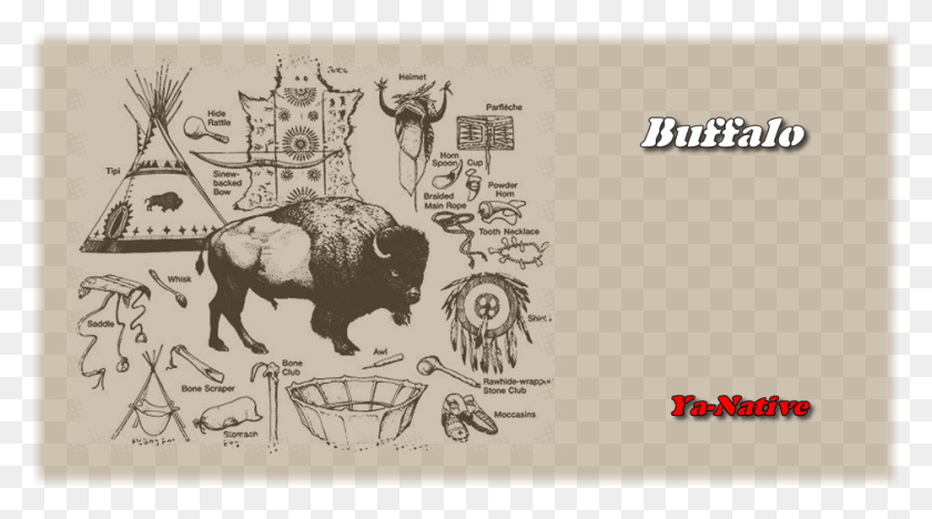 940x492 The Buffalo Is A Symbol Of Abundance And Manifestation Native Americans With Buffalo Parts, Cow, Cattle, Mammal HD PNG Download