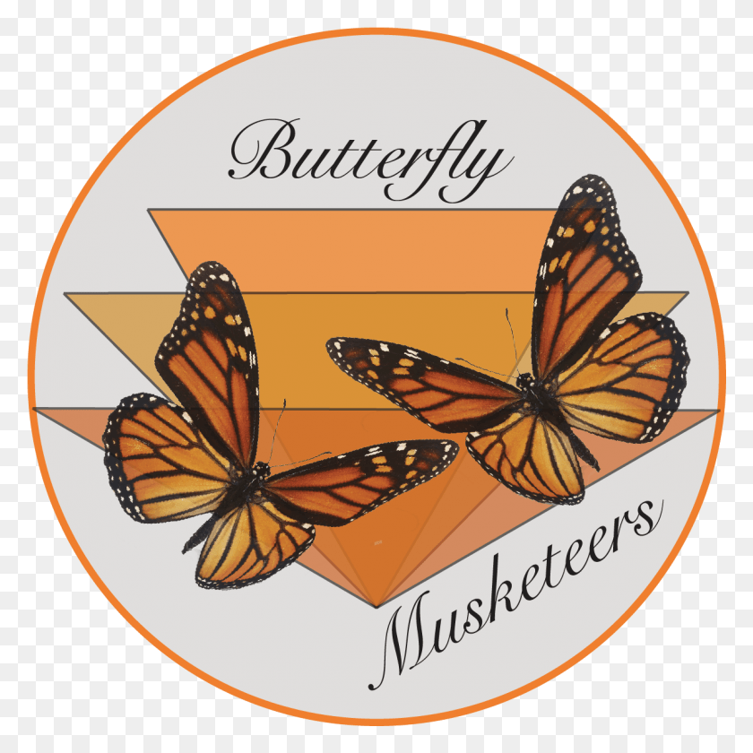 1201x1201 The Butterfly Musketeers Monarch Butterfly, Insect, Invertebrate, Animal HD PNG Download