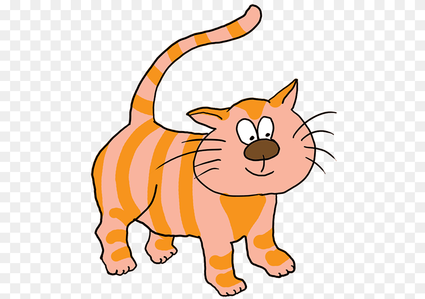 The Cat Clipart, Baby, Person, Animal, Kangaroo PNG