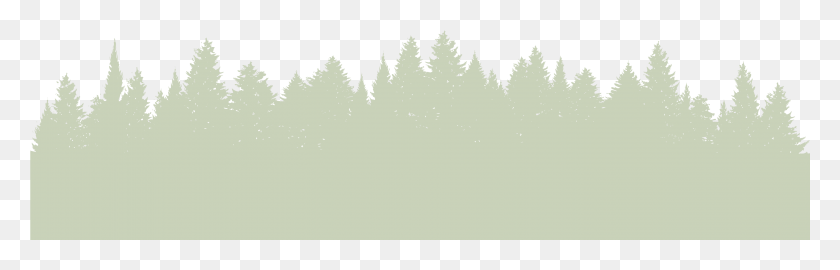 2881x777 The Cbd Shop Christmas Tree, Tree, Plant, Ornament HD PNG Download
