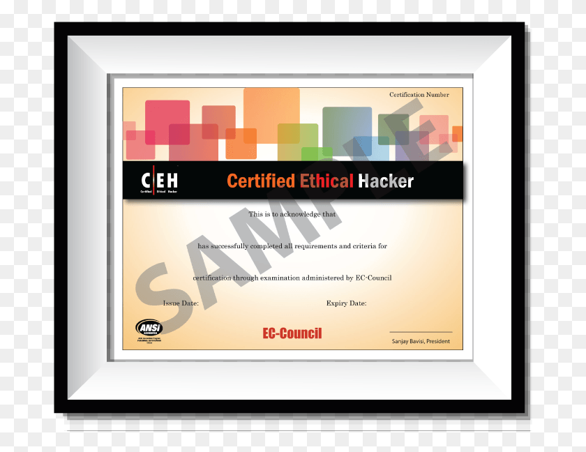 687x588 Сертификат Ceh Credential Удостоверяет Людей В Конкретной Сертифицированной Сертификации Этического Взлома, Текст, Бумага, Диплом Hd Png Скачать