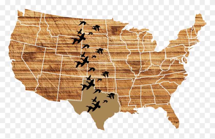 1024x634 The Central Flyway Tulsa On A Map, Diagram, Bird, Animal HD PNG Download