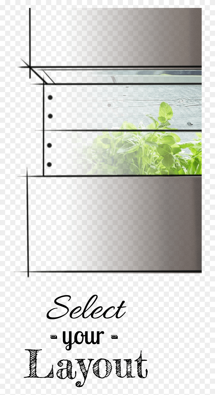737x1484 The Chef39s Ecowall Garden Comes In A Variety Of Different Calligraphy, Potted Plant, Plant, Vase HD PNG Download