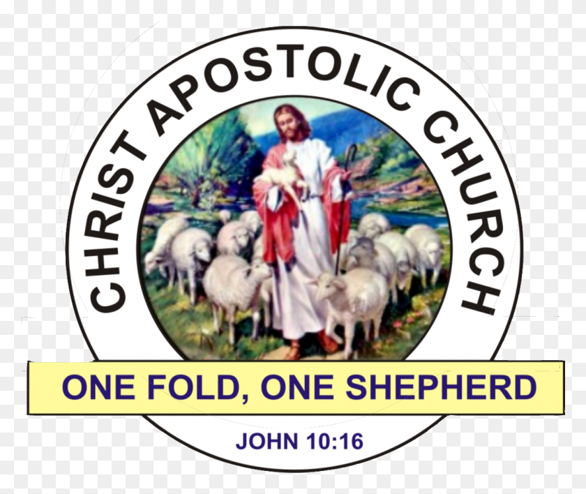 1060x881 The Christ Apostolic Church, Person, Human, Mammal HD PNG Download