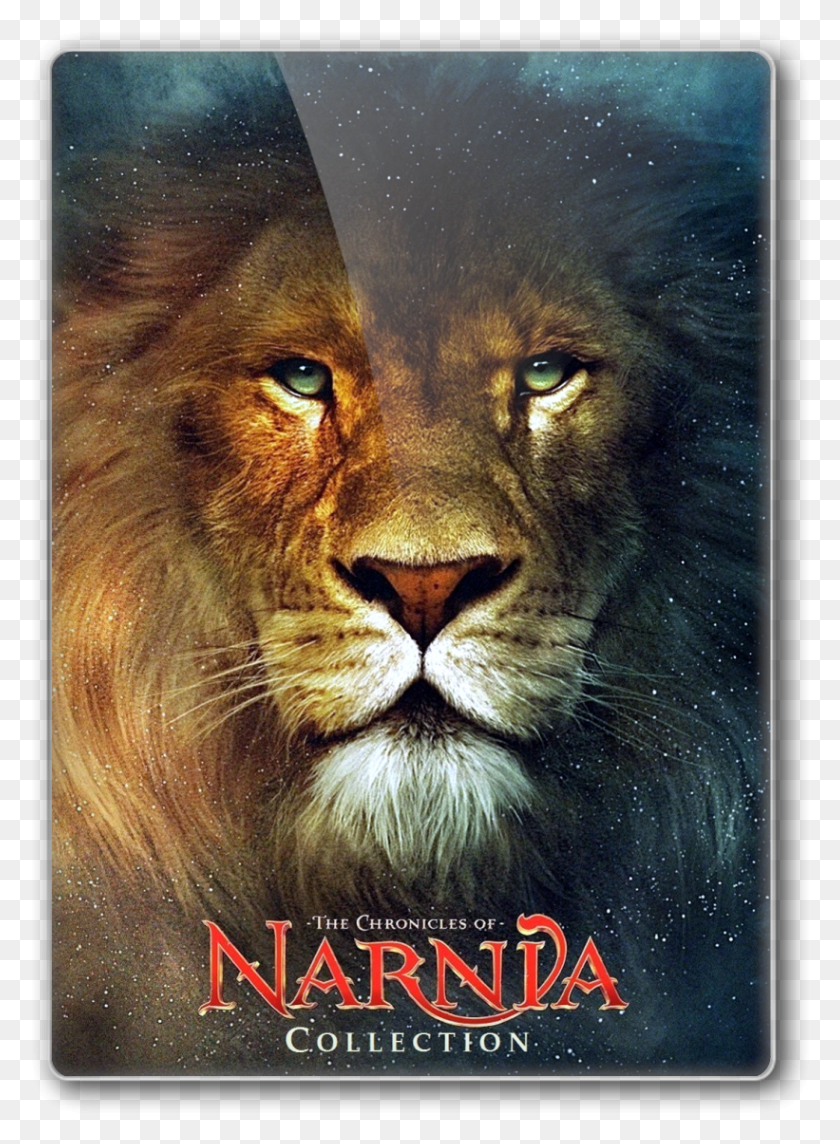 821x1142 Descargar Png Las Crónicas De Narnia Colección 1080P Bluray Hindi English Lions Fondos De Alta Resolución, Publicidad, Mamíferos, Animal Hd Png