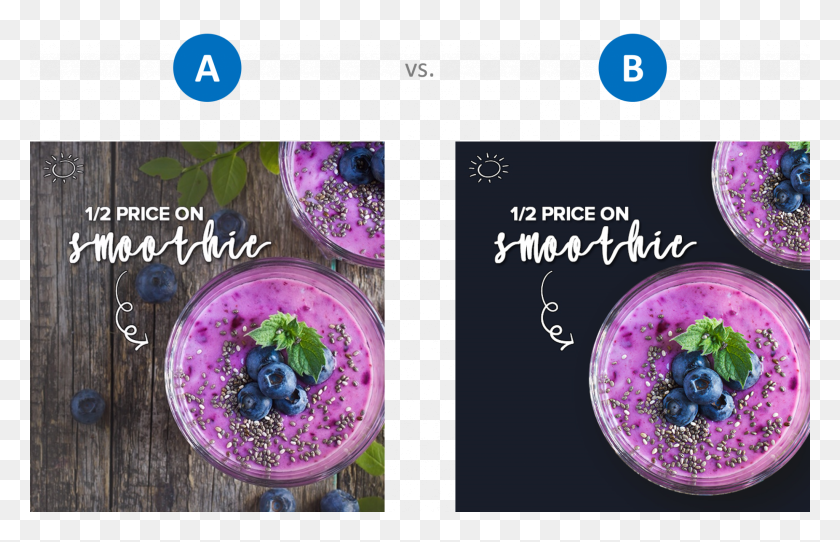 2048x1267 The Concept Of Ab Testing Allows Marketers To Isolate Floral Design, Plant, Blueberry, Fruit HD PNG Download