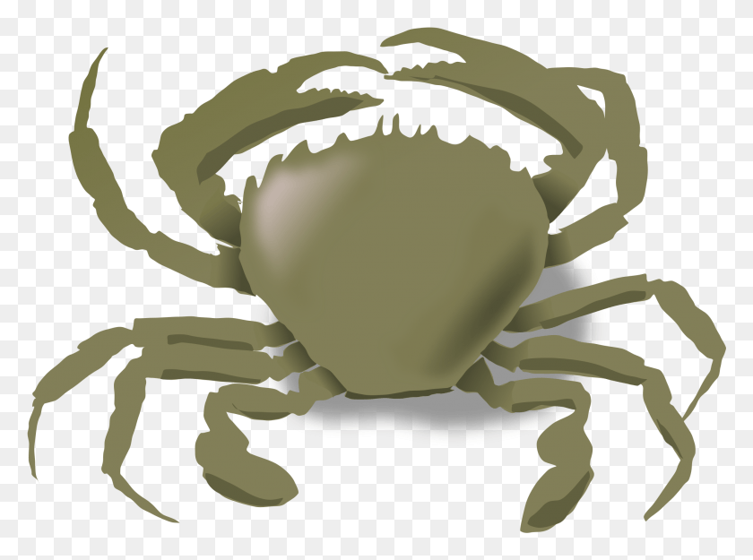 2099x1521 The Crab Big Image Animals Live In The Water, Sea Life, Animal, Seafood HD PNG Download