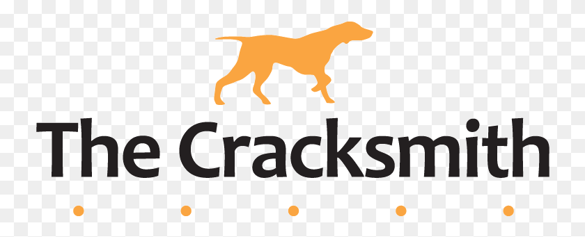 738x281 Descargar Png La Fundación Cracksmith Reparación De Grietas Drenaje Amp Dart, Logotipo, Símbolo, Marca Registrada Hd Png