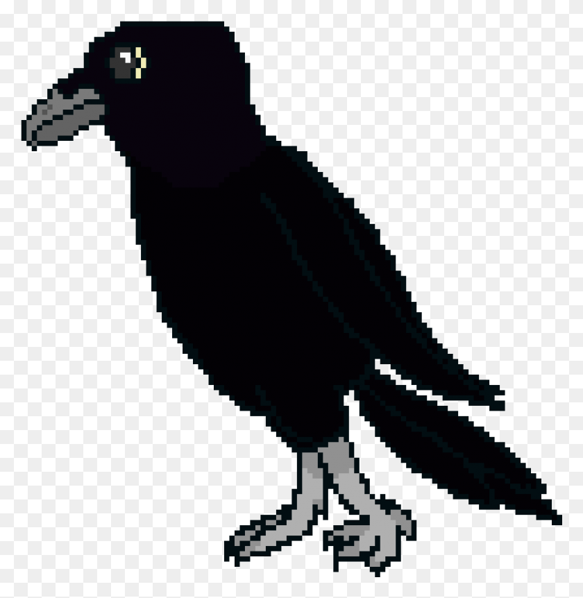 The Crow Crow Pixel Art, Vulture, Bird, Animal HD PNG Download