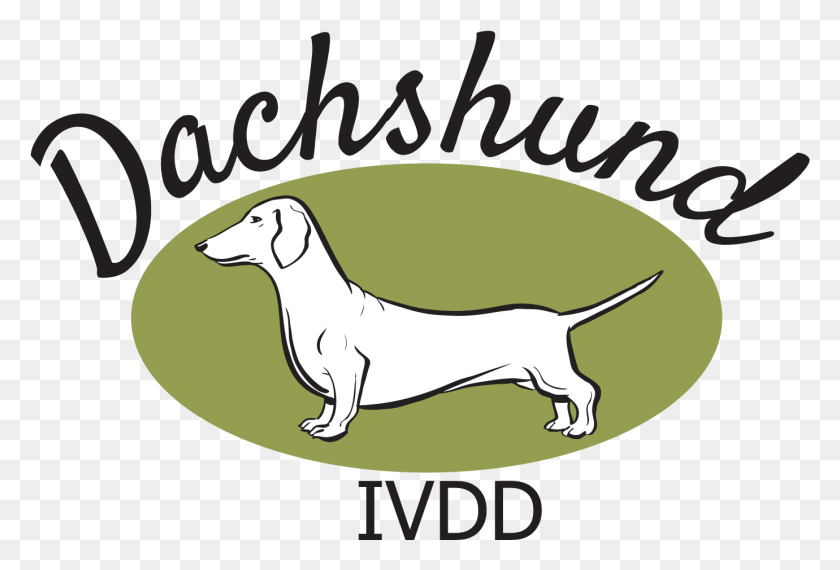 1380x904 The Dachshund Breed Council Uk Longdog, Mammal, Animal, Label HD PNG Download