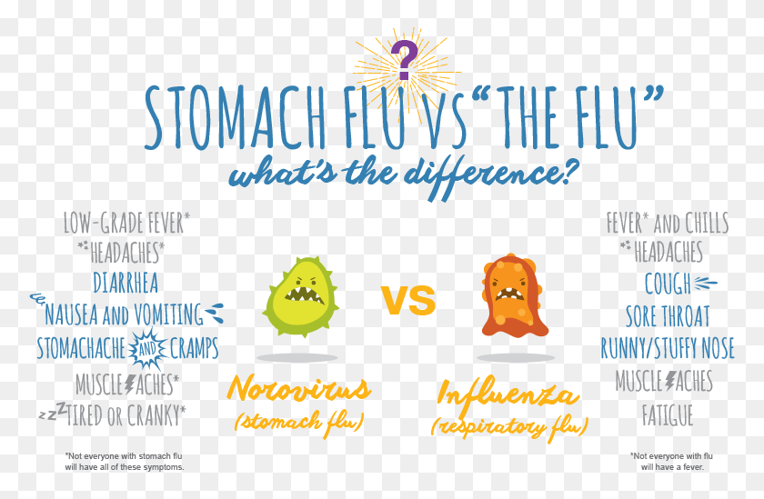 776x489 The Difference Between Stomach Flu And Cartoon, Text, Alphabet, Symbol HD PNG Download