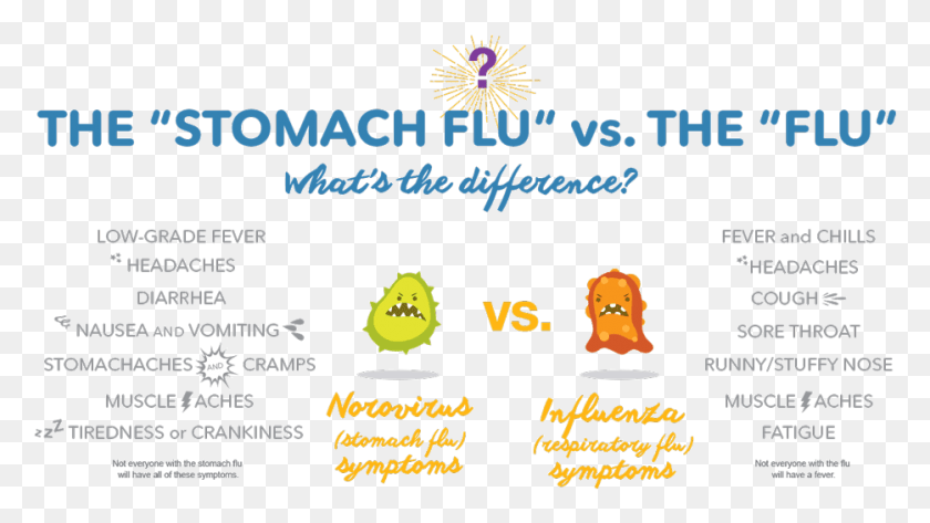 934x495 The Difference Between Stomach Flu And Food Poison Vs Stomach Bug, Text, Paper, Diwali HD PNG Download