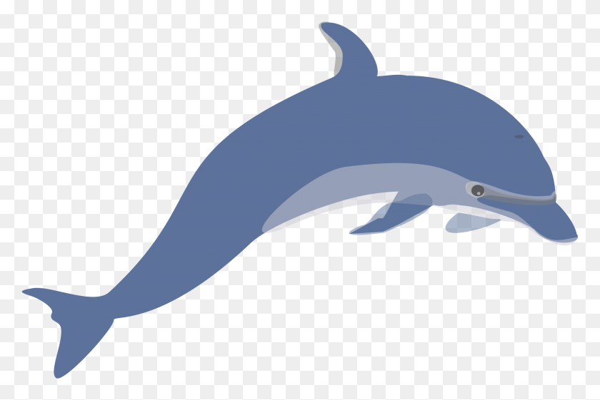 2182x1403 Дельфин, Который Любил Приключения Дельфин Клипарт, Морская Жизнь, Животное, Млекопитающее Hd Png Скачать