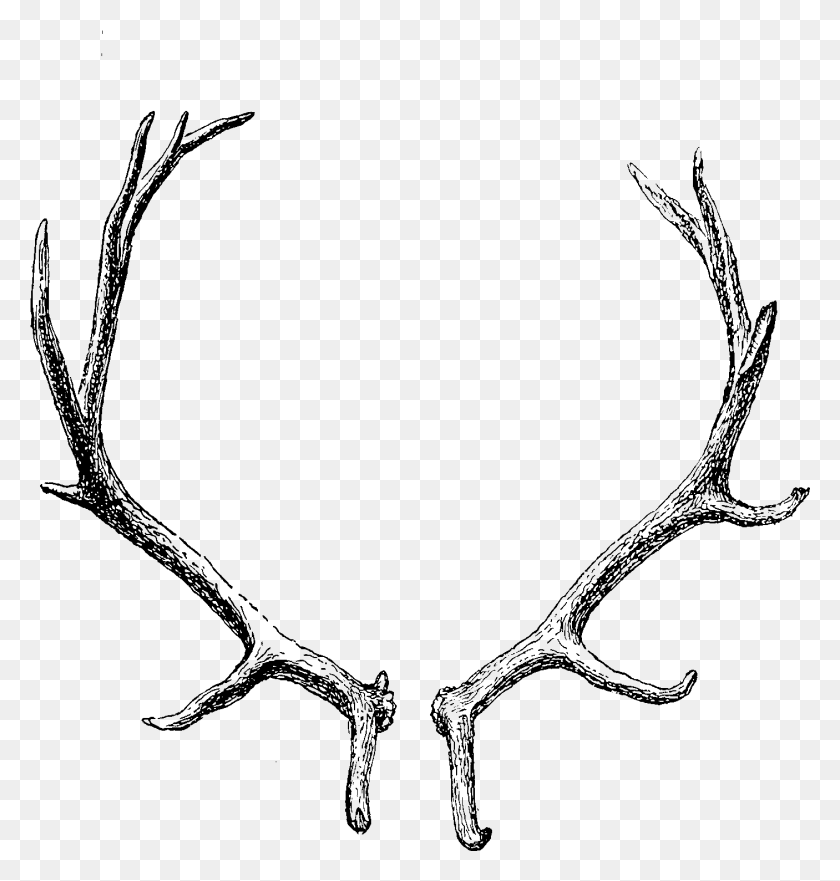 1406x1481 The Dragon S Journal This Is My Antlers Transparent Background, Outdoors, Nature, Astronomy HD PNG Download