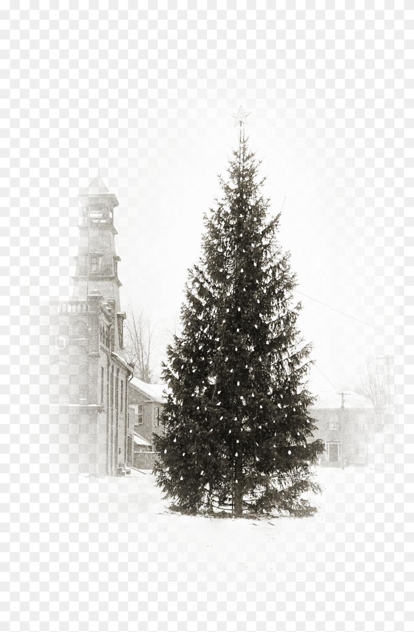 2100x3291 The Dundas Museum And Archives Is Hosting A Christmas Christmas Tree HD PNG Download