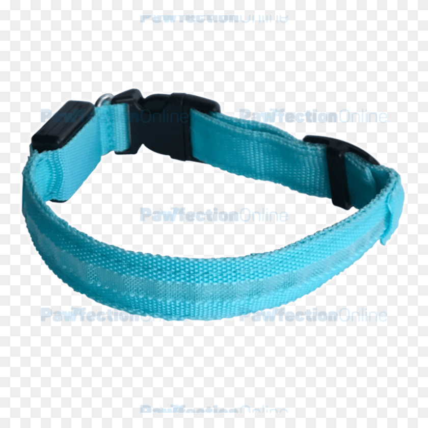 800x800 El Durable Nylon Azul Led Collar De Perro Es Parte De La Correa, Accesorios, Accesorio, Collar Hd Png