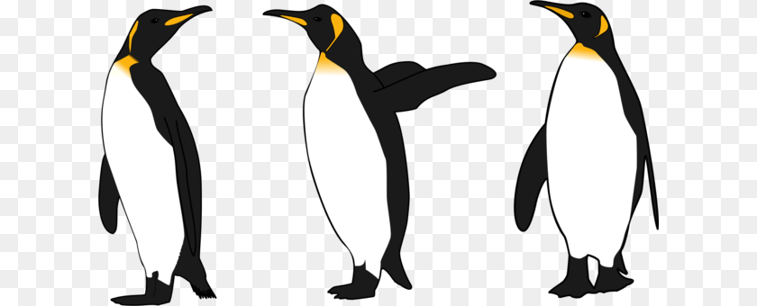 622x340 The Emperor Penguins Bird, Animal, King Penguin, Penguin Sticker PNG