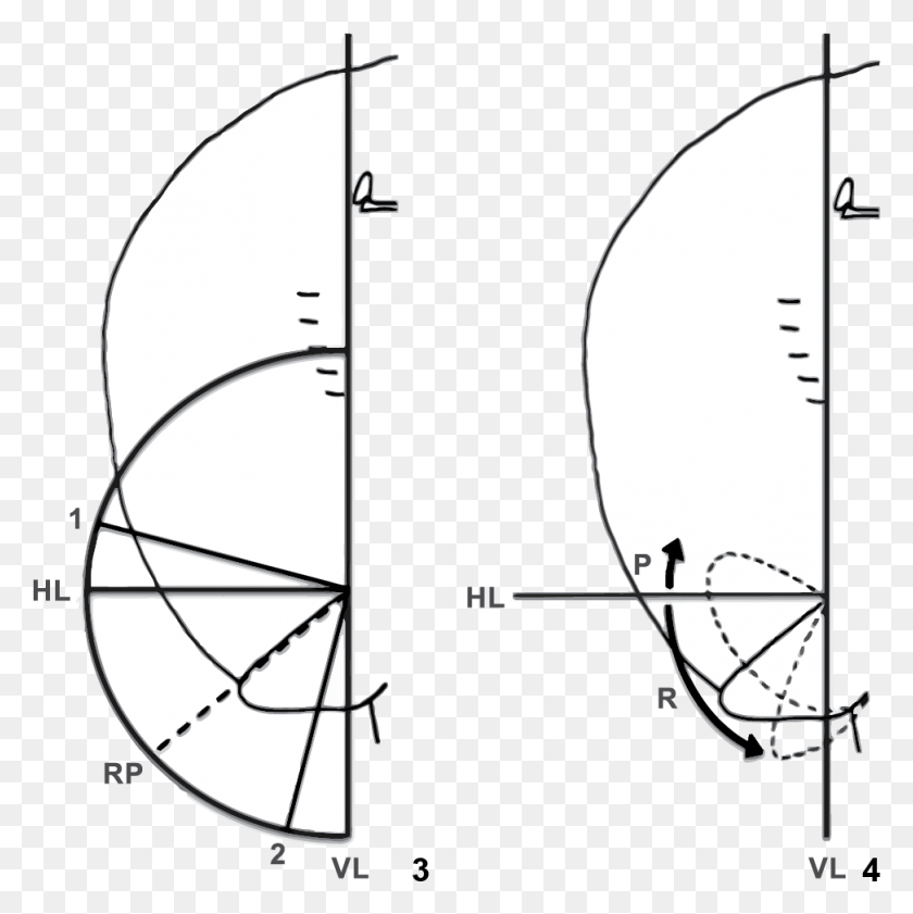973x975 The Extent Of Pelvic Movement During The Thrust Phase Circle, Plot, Diagram, Text Descargar Hd Png