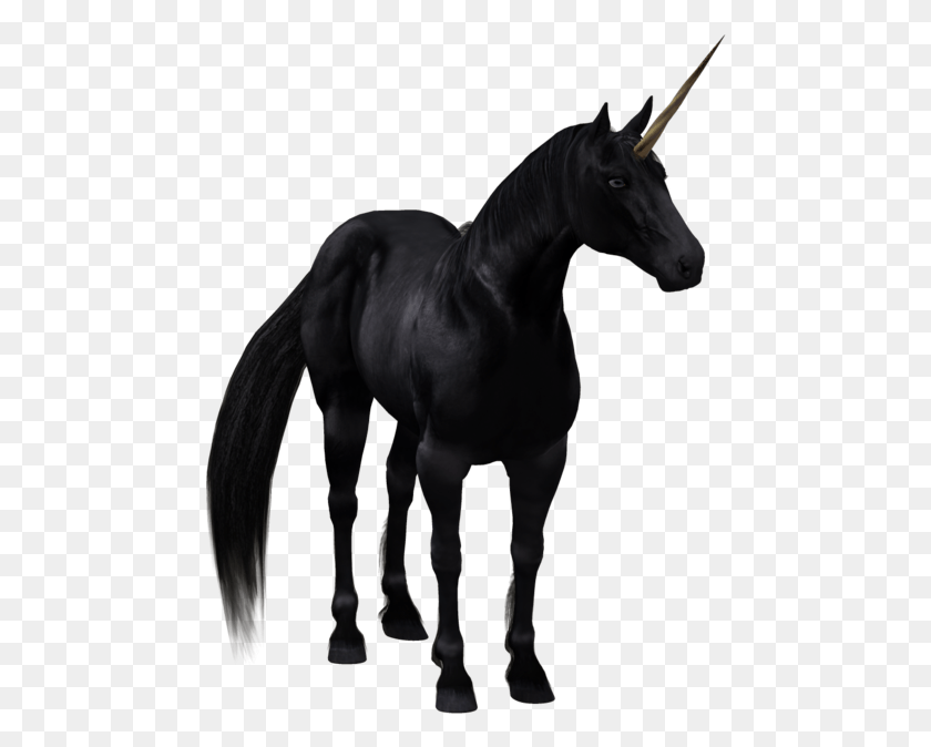 470x614 The Fairyland Connection All Black Unicorn, Horse, Mammal, Animal HD PNG Download