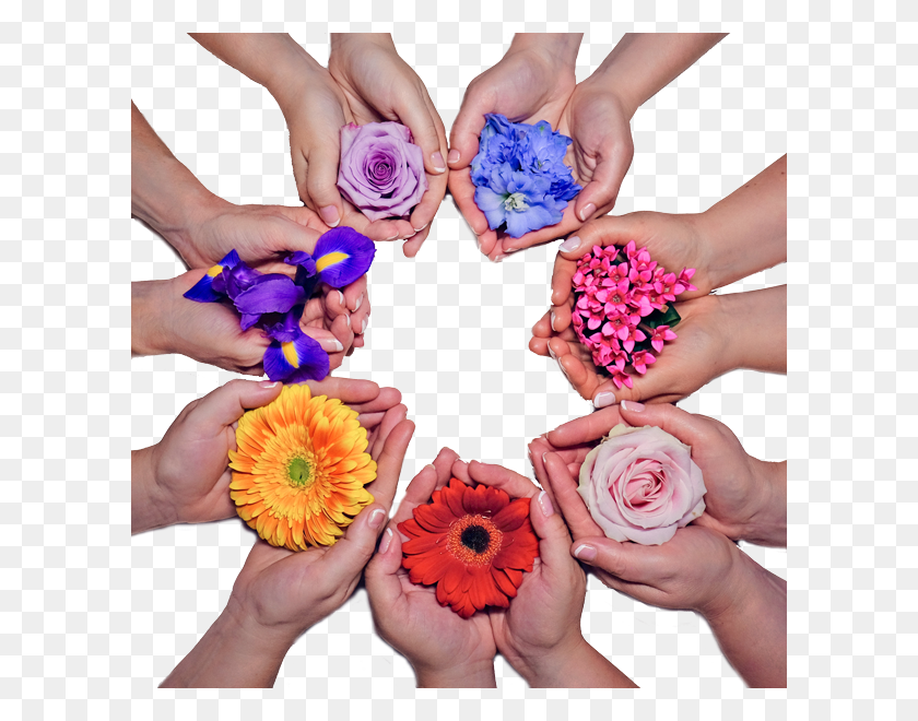 600x600 Descargar Png Las Flores En Nuestro Logotipo Simbolizan Quiénes Somos Lo Que Amigos Flores Logotipo, Mano, Persona, Planta Hd Png