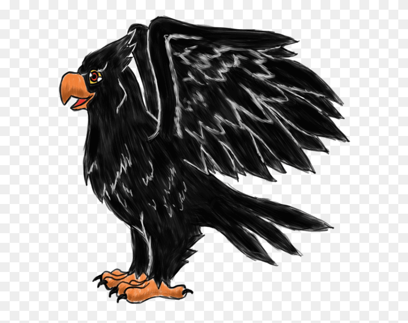 604x605 The German Black Eagle Eagle, Vulture, Bird, Animal HD PNG Download