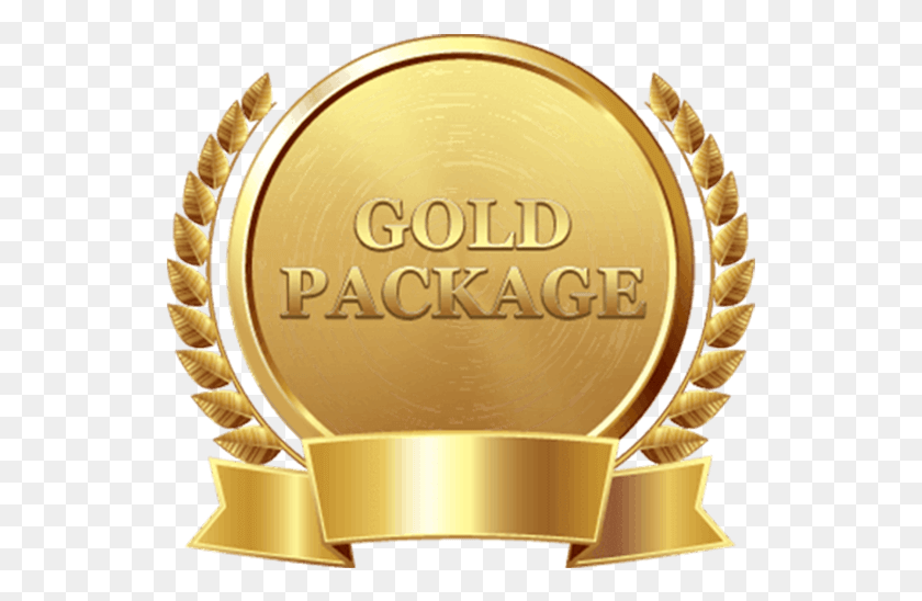 537x488 The Gold Package Sidi Gaber Language School, Trophy, Gold Medal, Lamp HD PNG Download