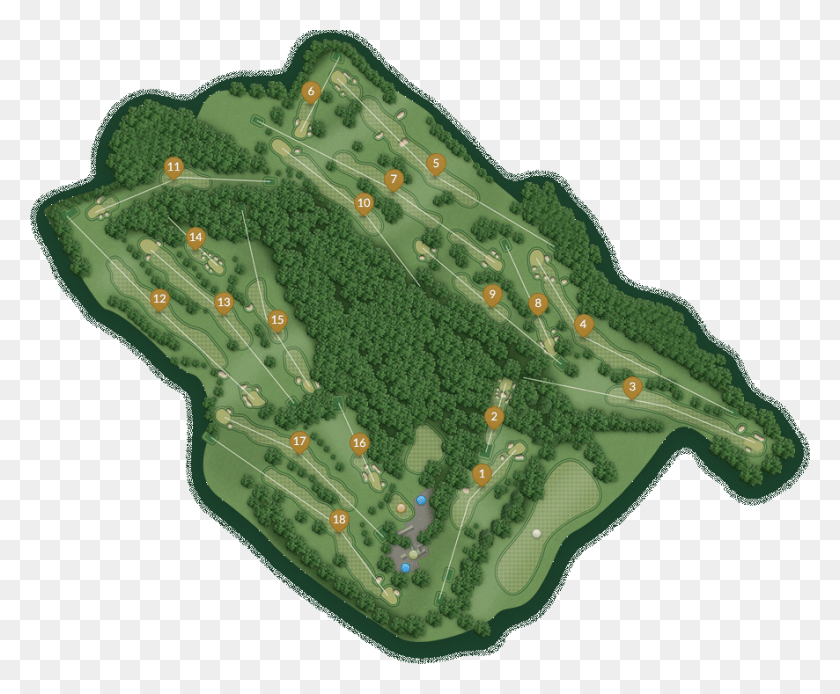 886x721 The Golf Course Tree, Land, Outdoors, Nature HD PNG Download