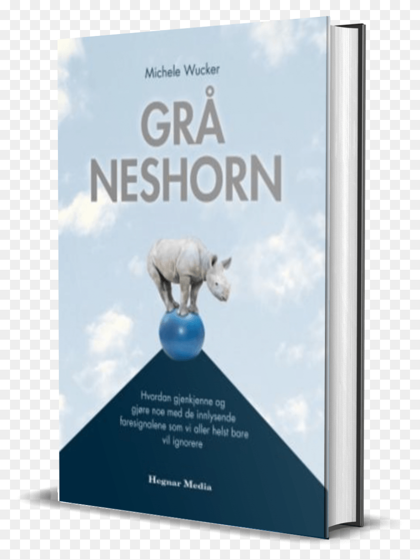 799x1087 The Gray Rhino Is Now Available In Norwegian Via Hegnar Book Cover, Electronics, Phone, Mobile Phone HD PNG Download