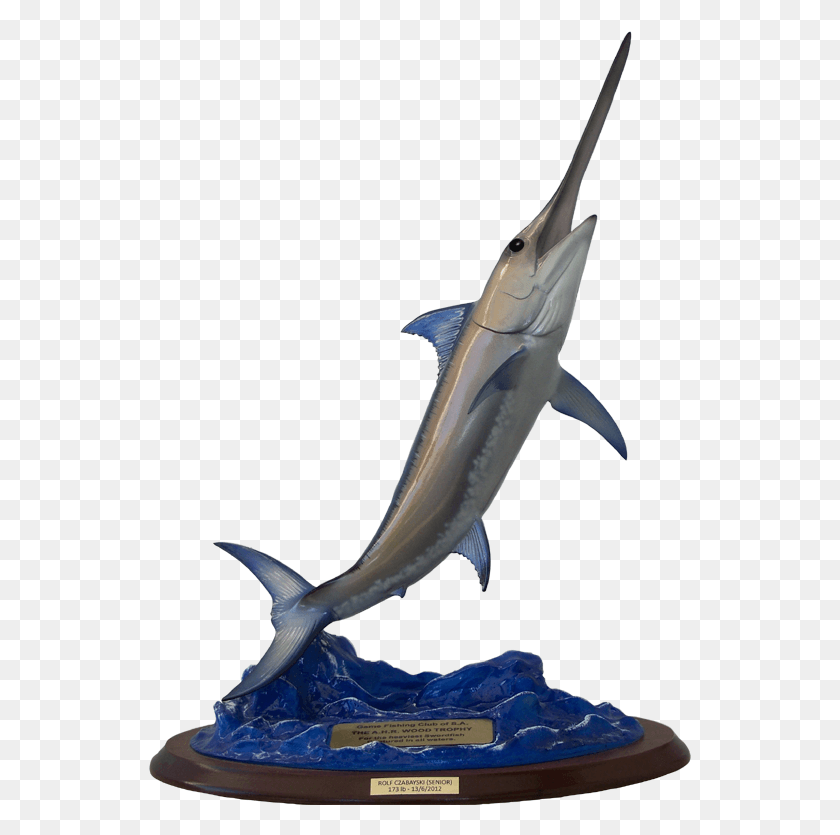 543x775 The H Atlantic Blue Marlin, Fish, Animal, Sea Life HD PNG Download