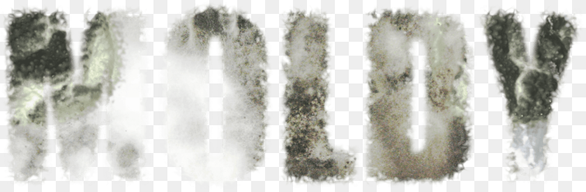 1491x490 The Health Hazards Of Toxic Mold Word Moldy, Art, Collage, Outdoors, Nature PNG