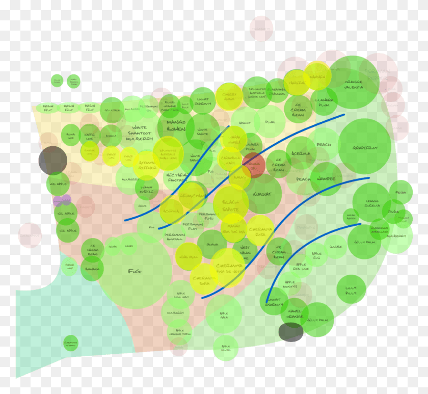 1025x938 The Highlighted Circles Are Trees I Plan On Planting Circle, Plot, Diagram, Rug HD PNG Download