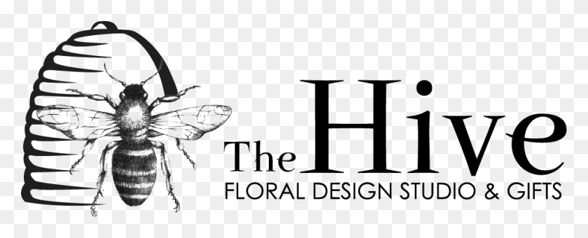 965x347 The Hive Floral Design Studio Amp Gifts Hornet, Spider, Invertebrate, Animal HD PNG Download