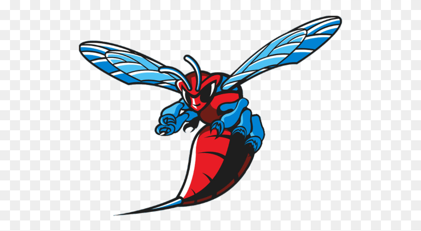 527x401 The Hornets Place Third In The Dsu Farm Run Delaware State Football Logo, Dragon, Sunglasses, Accessories HD PNG Download