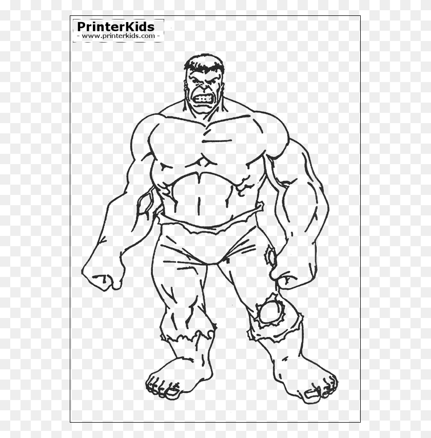 567x794 El Hulk Color, Persona, Humano Hd Png