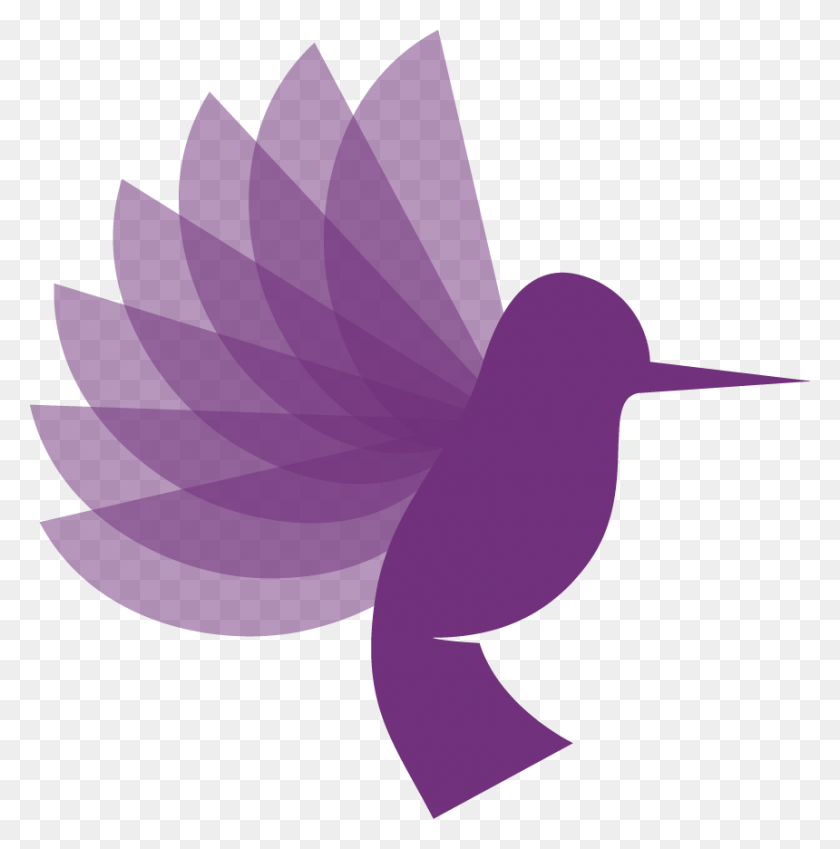 860x871 The Hummingbird And Ripple Effect Leadership Hummingbird, Animal, Bird, Logo HD PNG Download