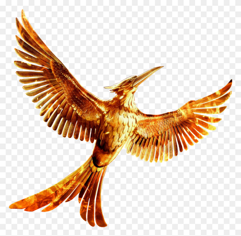 958x937 The Hunger Games Hunger Games Mockingjay Part 2 Logo, Bird, Animal, Kite Bird HD PNG Download