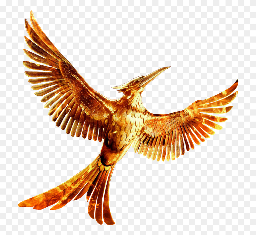730x713 The Hunger Games Mockingjay Hunger Games Mockingjay, Bird, Animal, Kite Bird HD PNG Download