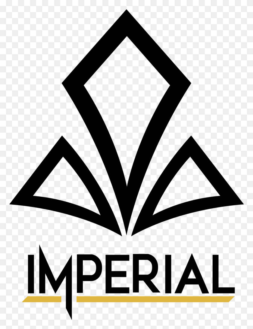 1229x1625 Имперский Counter Strike Imperial Esports, Серый, Мир Варкрафта Png Скачать