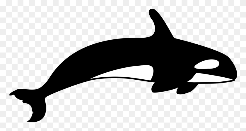 1502x750 The Killer Whale Cetacea Blue Whale Killer Whale Silhouette, Symbol, Arrow HD PNG Download