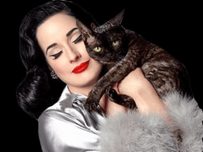 700x525 The Latest Celebrity Free Transparent Images Dita Von Teese Aleister Von Teese, Cat, Pet, Mammal HD PNG Download