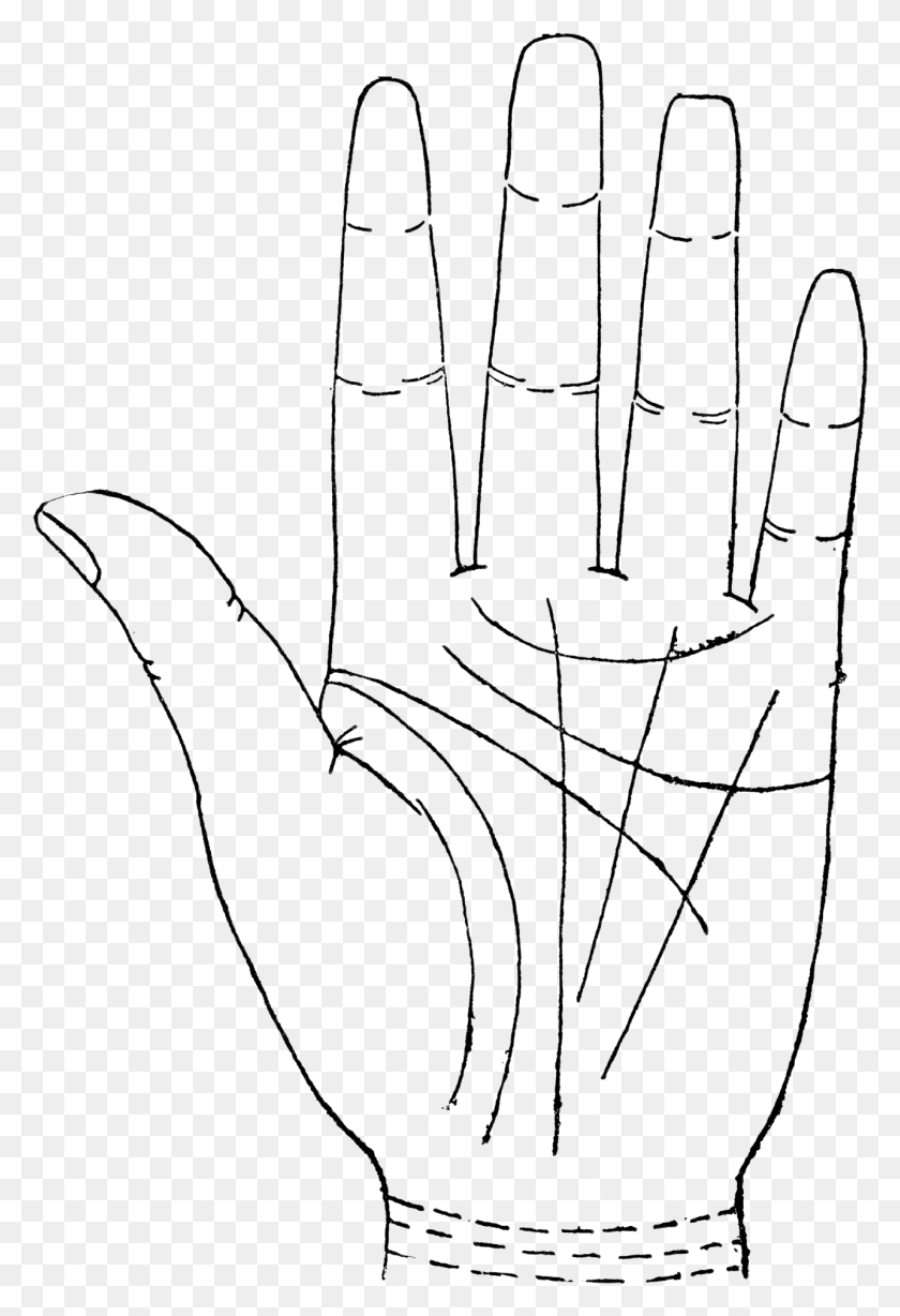 1284x1924 The Latter With The Lines And Marking Of The Palm In Astrology In Hand In Tamil, Spider Web, Stencil HD PNG Download