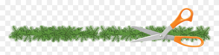 1921x378 The Length You39d Like Your Garland To Be And Go Ahead Pond Pine, Plant, Leaf, Moss HD PNG Download