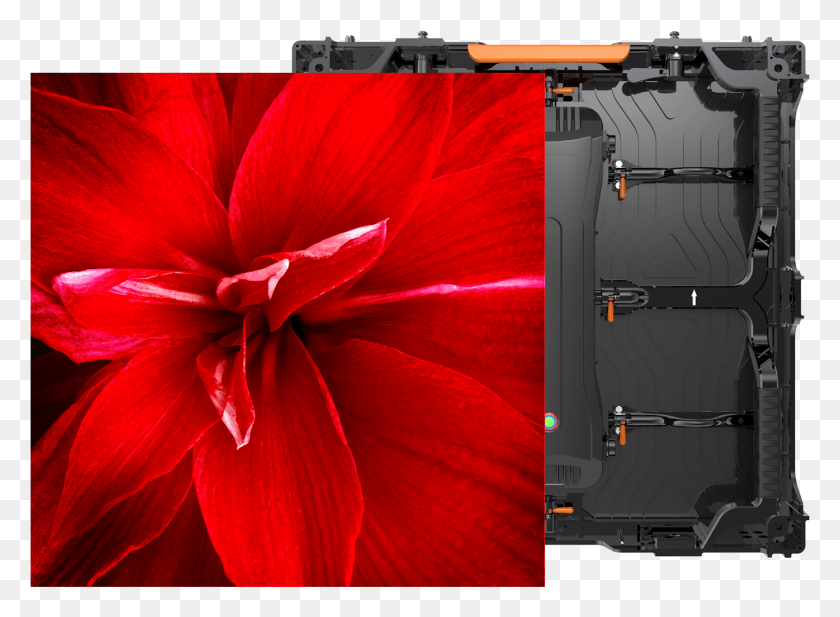 1395x997 The Leyard Vvr Series Family Of Indoor Amp Outdoor Led Leyard Vvr, Plant, Flower, Blossom HD PNG Download
