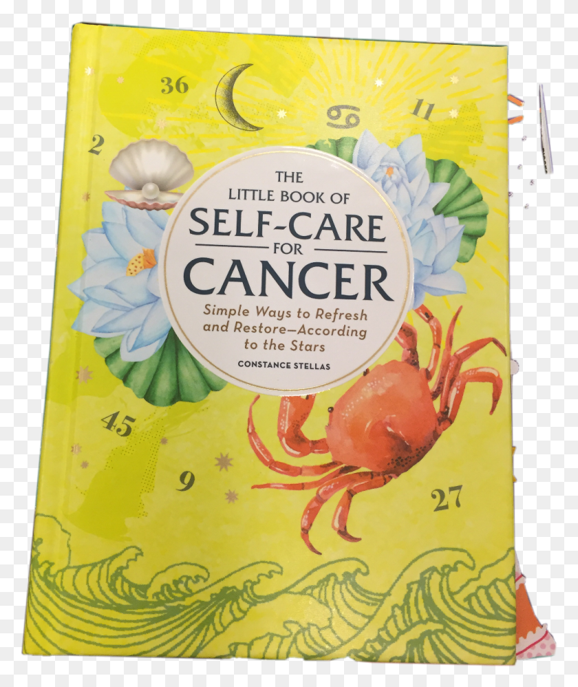 1024x1232 The Little Book Of Self Care For Cancer Is A Really Little Book Of Self Care For Cancer, Lobster, Seafood, Sea Life HD PNG Download