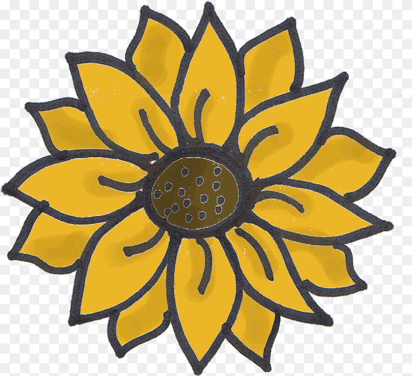 853x778 The Little Matters Drawing Of Sunflower, Plant, Flower, Dahlia, Art Clipart PNG