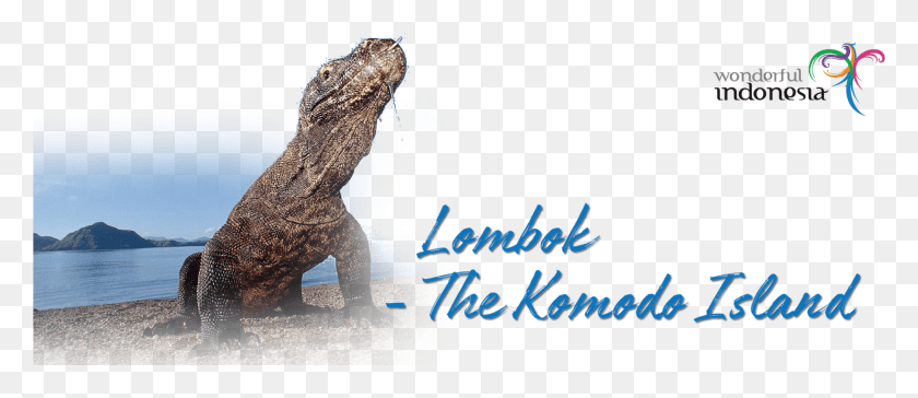 1880x734 The Lombok Island Features Stunning Beaches And Bays Komodo Dragon, Lizard, Reptile, Animal HD PNG Download