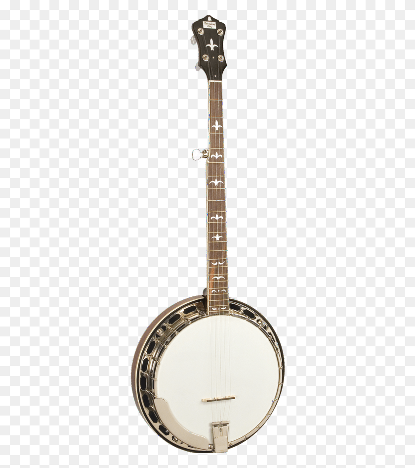 318x886 The Madison Rk R35 Gives Banjo Players A High Quality Banjo, Leisure Activities, Musical Instrument, Mandolin HD PNG Download