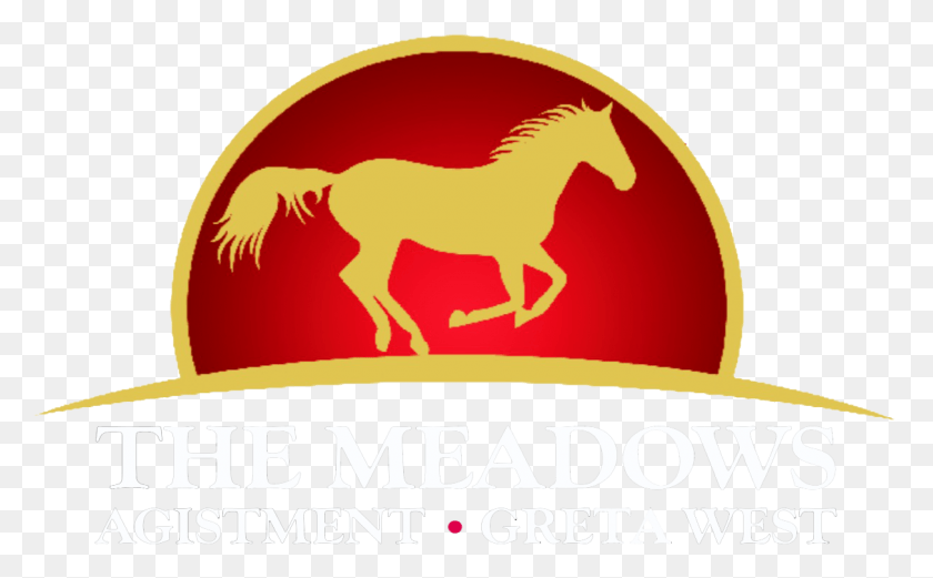 1213x718 The Meadows Stallion, Logo, Symbol, Trademark HD PNG Download