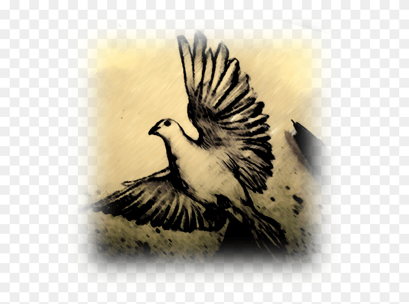 564x564 The Ministry Of The Holy Spirit Part Ii Rallidae, Bird, Animal HD PNG Download